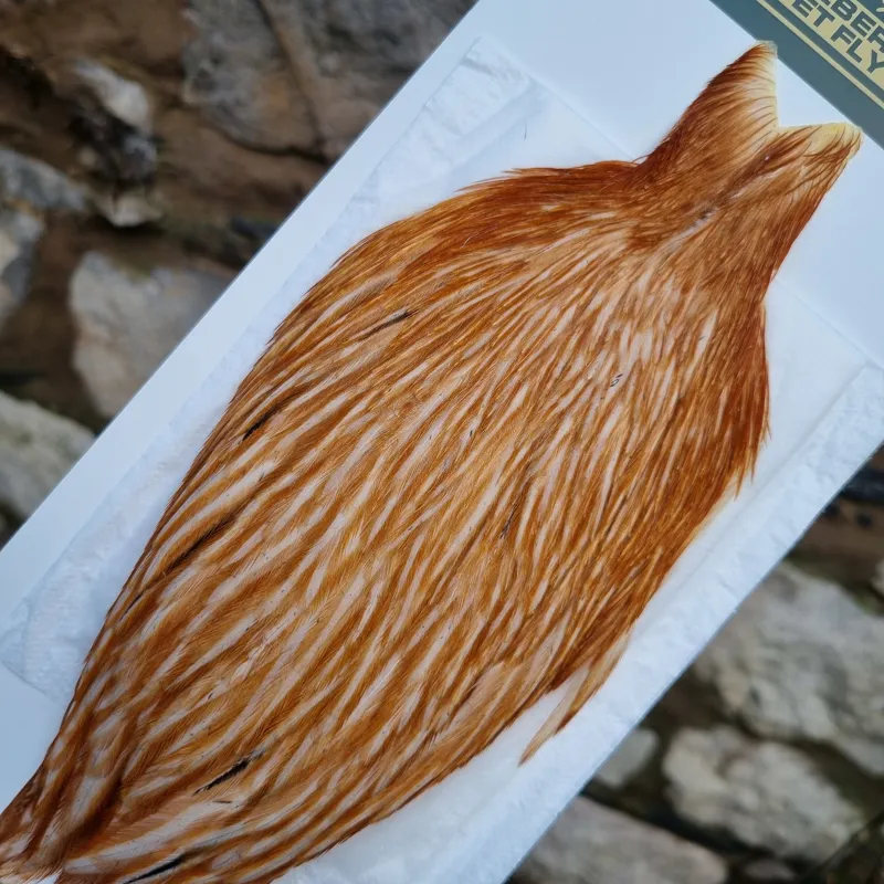 Whiting Hebert Miner Hen Cape in Medium Ginger-2